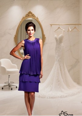 Jewel Neckline Sleeveless Chiffon Mother of the Bride Dress - A-Line Princess Knee-Length Gown