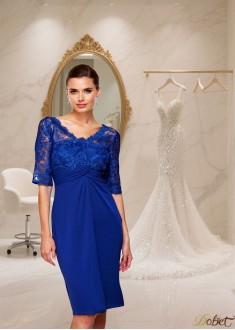 V Neck Chiffon 1/2 Sleeve Mother of the Bride Dress with Lace Embellishment