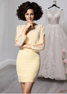 Short Chiffon Jewel Neck Mother of the Bride Dress – Long Sleeve Short Dresses