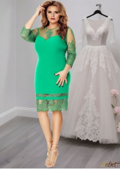 Green Tea-Length Tulle Chiffon Sheath Mother of the Bride Dress with Illusion Sleeves