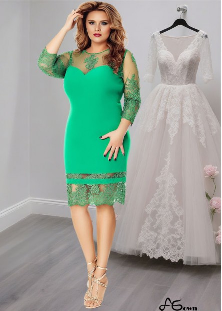 Green Tea-Length Tulle Chiffon Sheath Mother of the Bride Dress with Illusion Sleeves