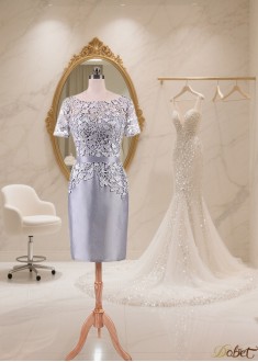 Elegant Short Lace Taffeta Dress with Bateau Neckline and Illusion Sleeves