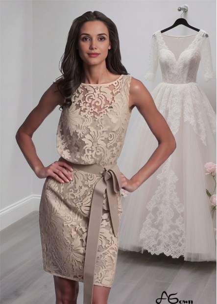 Short Lace Satin Mother of the Bride Dress – Scoop Neck Sheath Mini Formal Gown