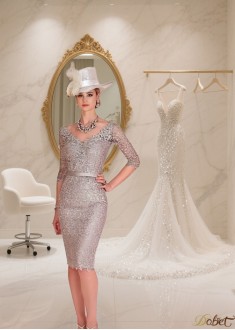 V Neck Lace Illusion Sleeve Knee Length Sheath Dress for Mother of the Bride