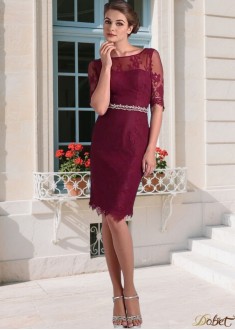 Elegant Lace Bateau Neck Mother of the Bride Dress with Illusion Sleeves – Sheath Knee Length
