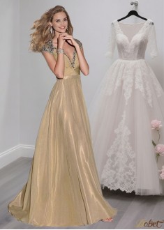 Elegant V Neck Tulle Chiffon A-Line Evening Mother of the Bride Dress