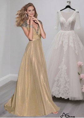 Elegant V Neck Tulle Chiffon A-Line Evening Mother of the Bride Dress