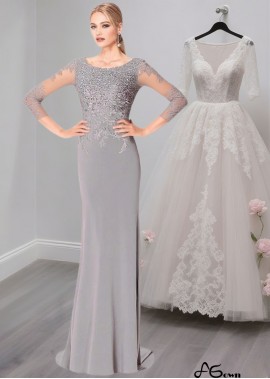 Sheath Tulle Evening Mother of the Bride Dress with Long Sleeves