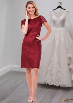 Knee Length Lace Mother Dress for Party – Sheath Gown for Occasions