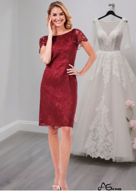 Knee-Length Lace Mother of the Bride Dress – Bateau Neck Sheath Gown for Formal Occasions
